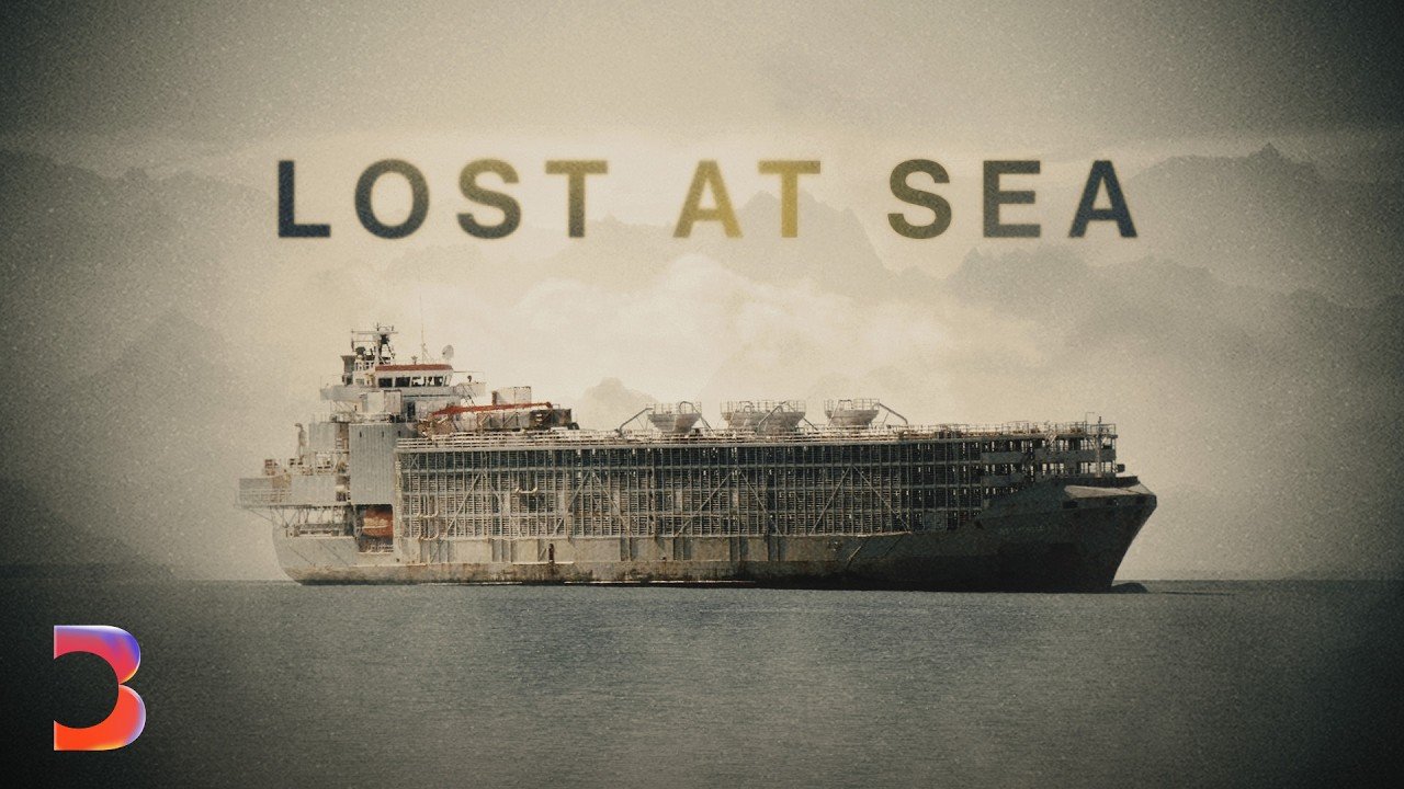 The Dark Side of the $20 Billion Livestock Shipping Industry